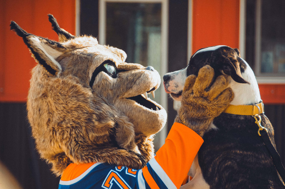 780 Members Learning to Speak Dog. 780 Members Learning to Speak Dog.