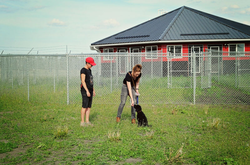 Pepper enjoying extra attention at 780 Kennels. Pepper enjoying extra attention at 780 Kennels.