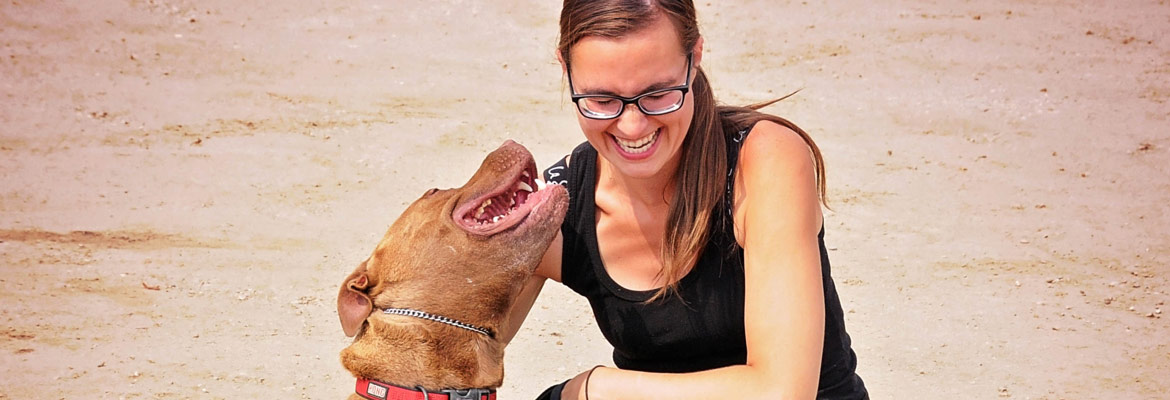 Rescue Pitbull-Mix and Kennel Staff Sharing a Laugh Together.