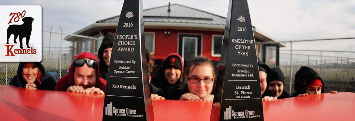 Edmonton dog trainers win People's Choice Award at 780 Kennels.