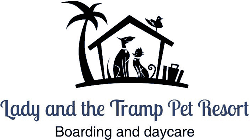 Lady And The Tramp Pet Resort