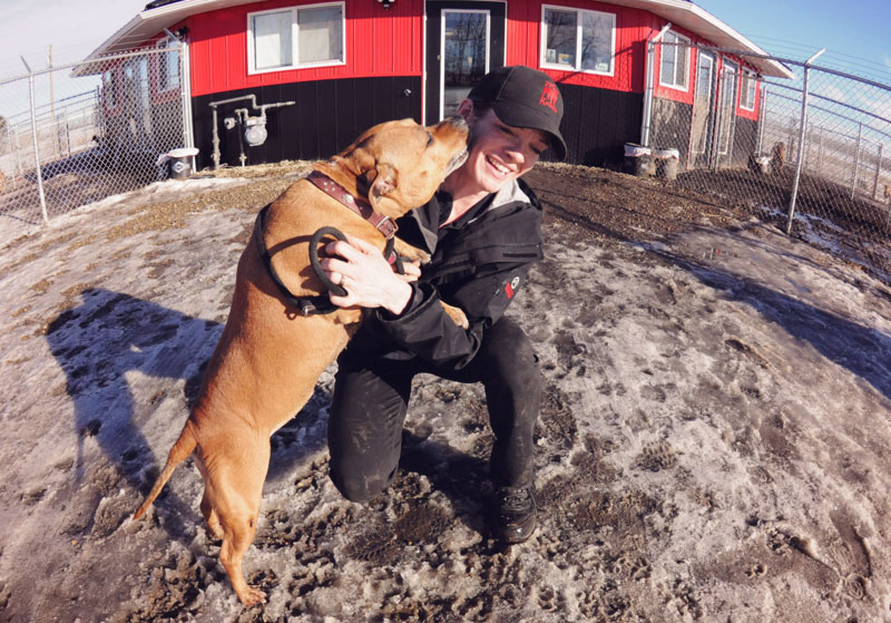 Pit Bull kissing Kennel staff during the winter. Pit Bull kissing Kennel staff during the winter.